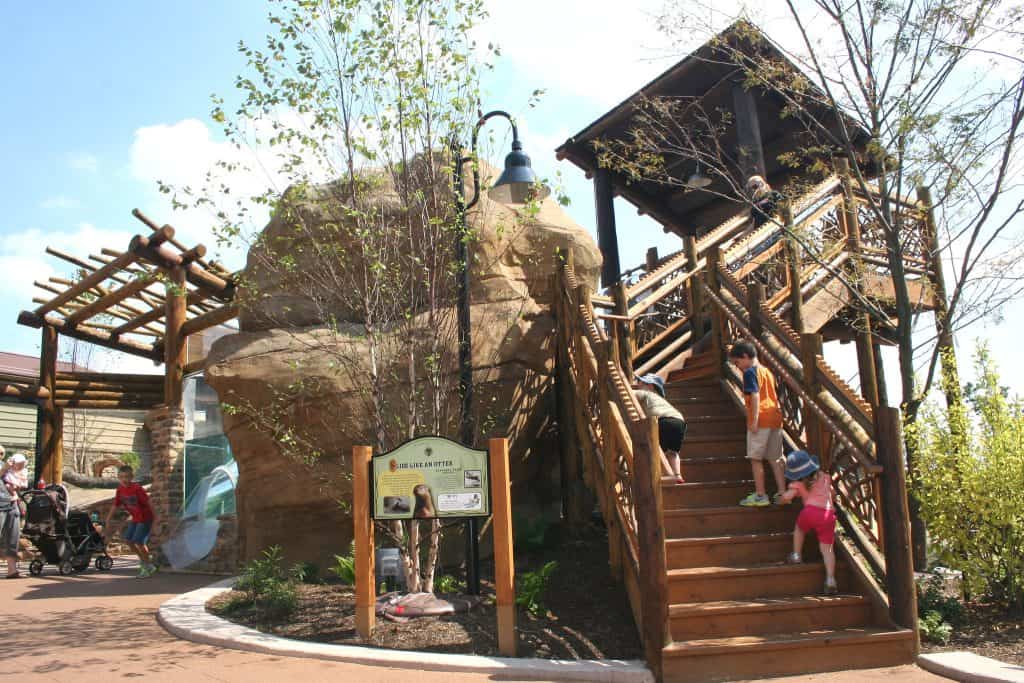 akron ohio zoo things to do