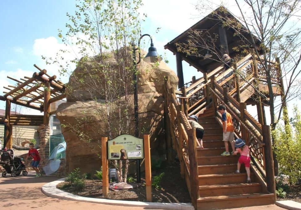akron ohio zoo things to do